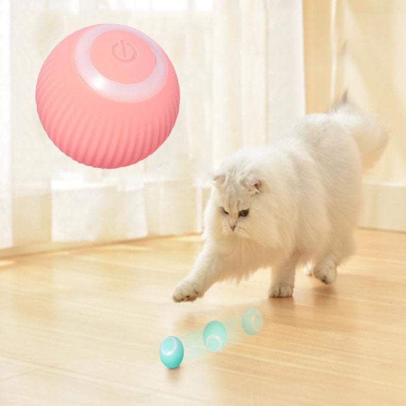 Kennah & Co Interactive Play Ball